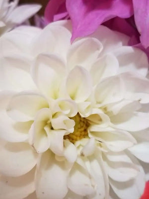 Ab9de42a61f7c4cb28b975b05fa04e6f0o.jpg
